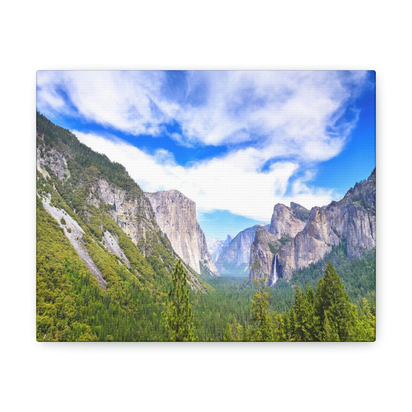 Canvas Gallery Wraps - The US National Parks - Yosemite Park - California - USA NPS - Green Forest Home
