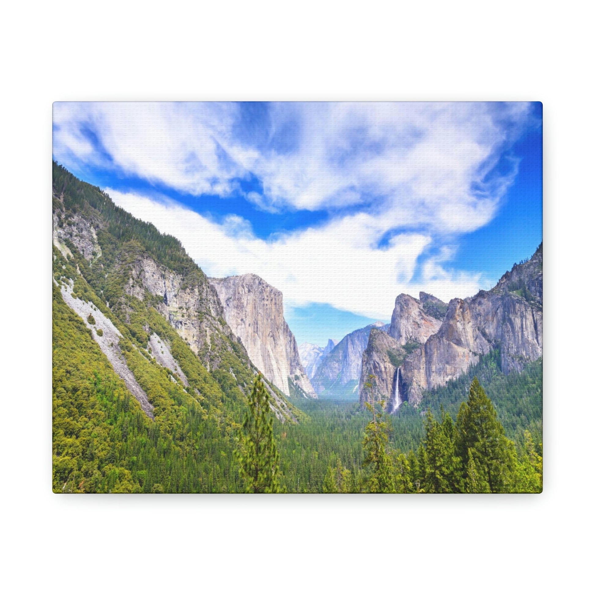 Canvas Gallery Wraps - The US National Parks - Yosemite Park - California - USA NPS - Green Forest Home