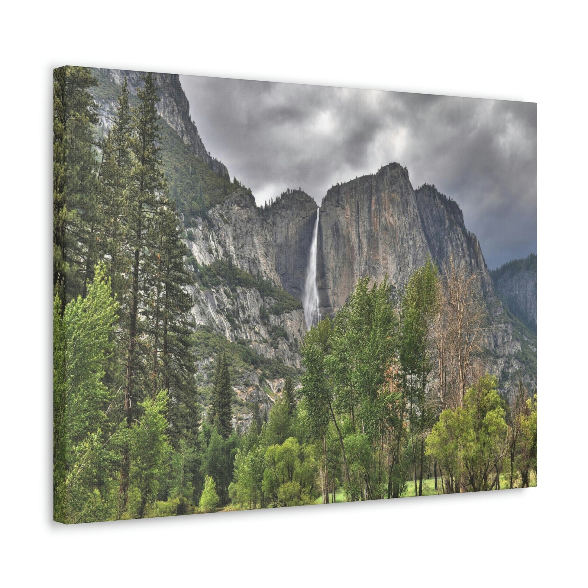 Canvas Gallery Wraps - The US National Parks - Yosemite Park - California - USA NPS - Green Forest Home