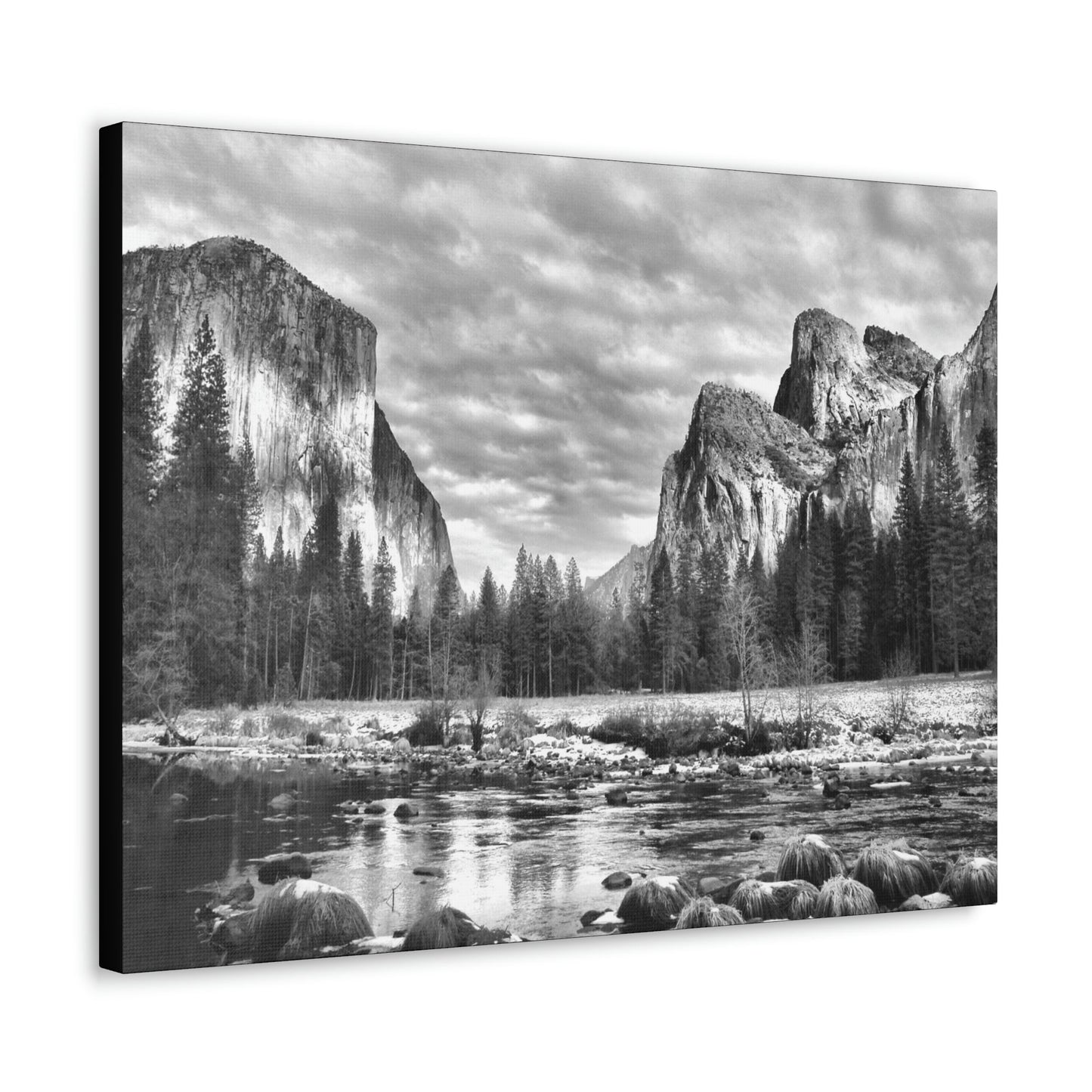 Canvas Gallery Wraps - The US National Parks - Yosemite Park - California - USA NPS - Green Forest Home