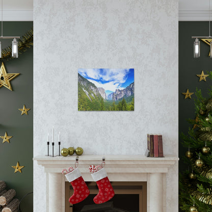 Canvas Gallery Wraps - The US National Parks - Yosemite Park - California - USA NPS - Green Forest Home