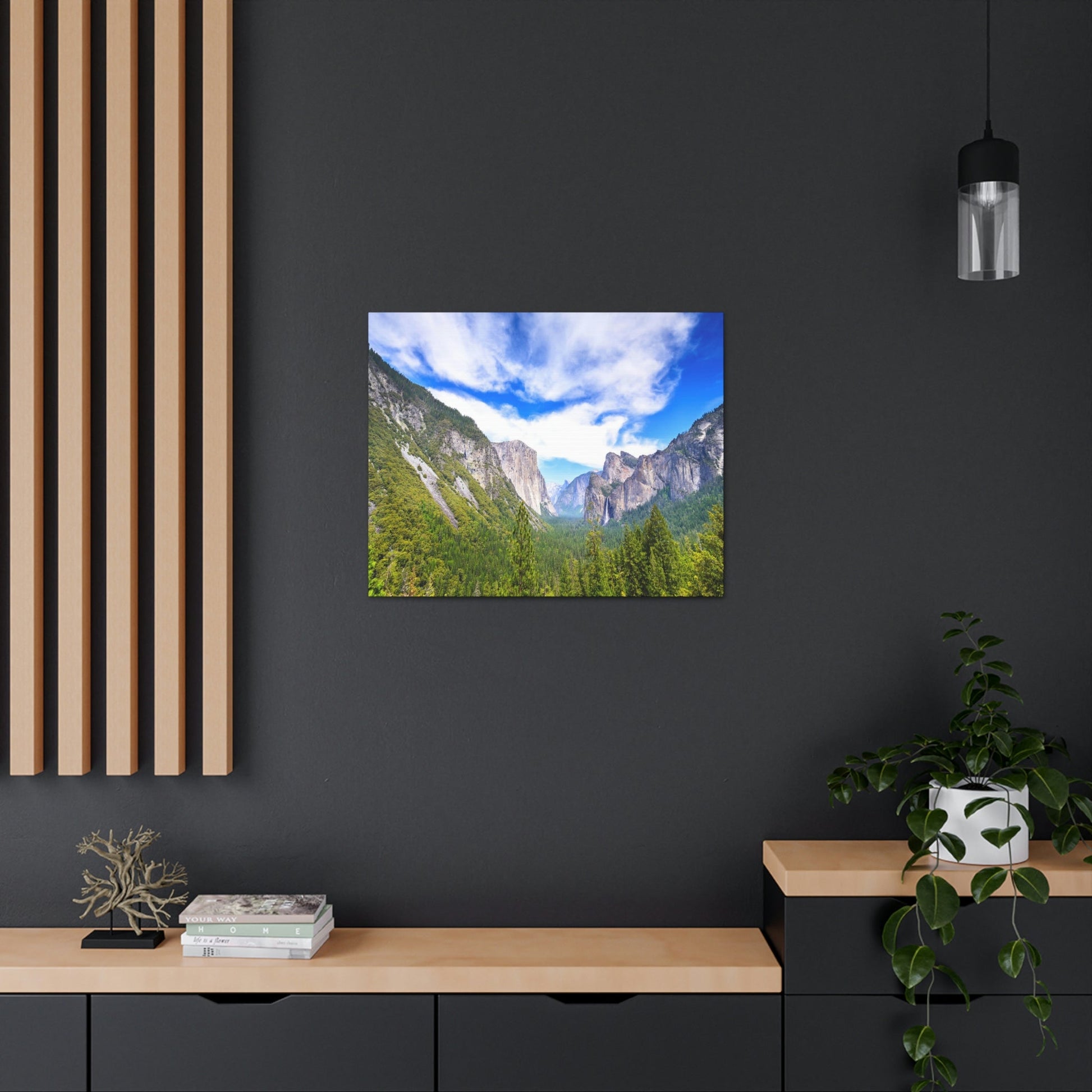 Canvas Gallery Wraps - The US National Parks - Yosemite Park - California - USA NPS - Green Forest Home
