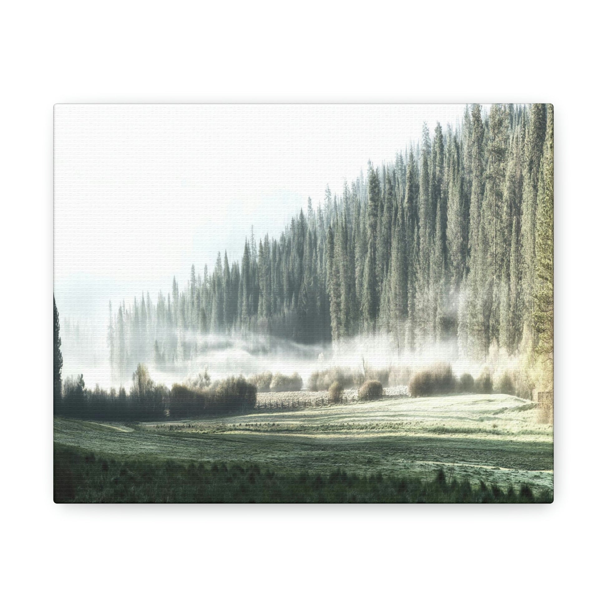 Canvas Gallery Wraps - The US National Parks - Yosemite Park - California - USA NPS - Green Forest Home