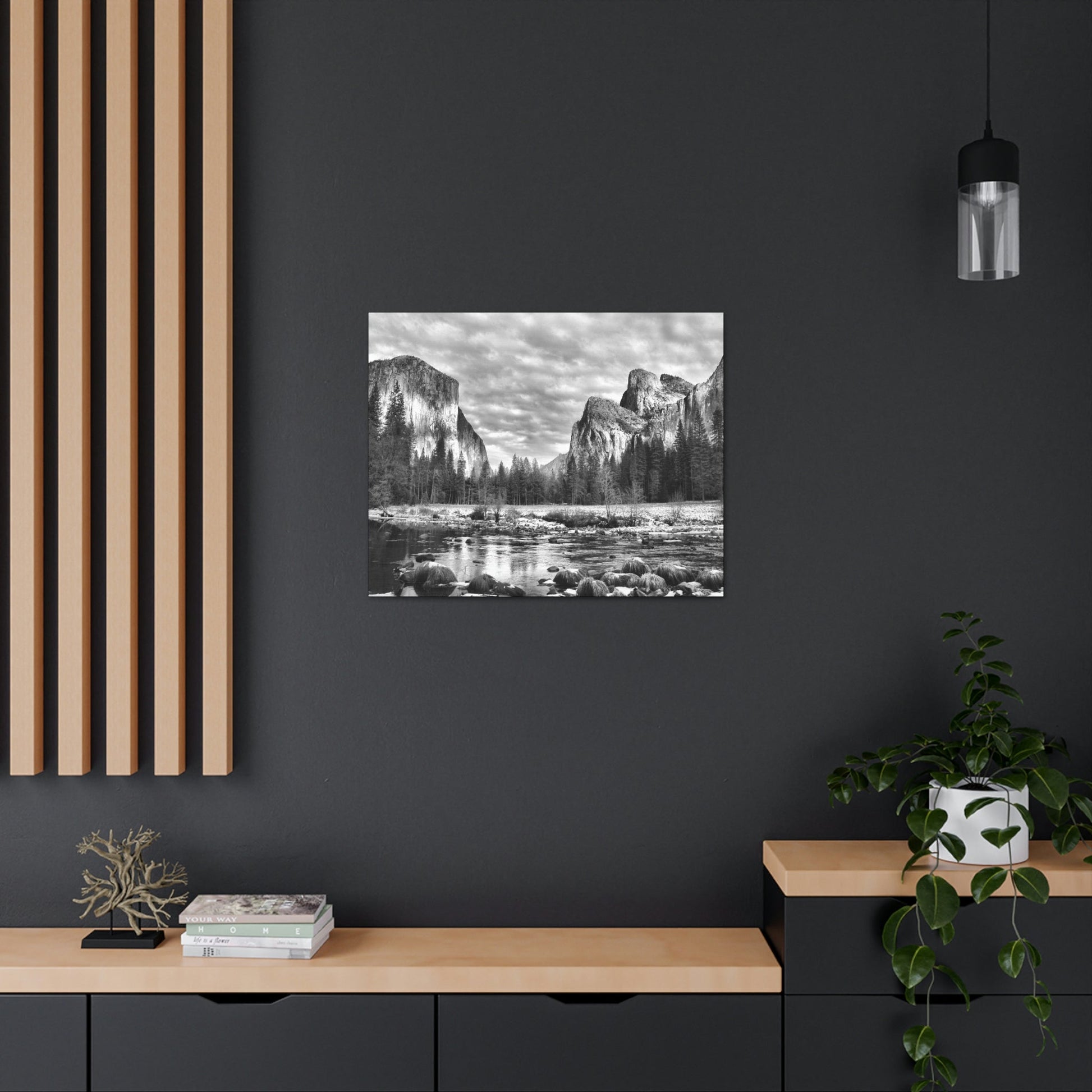 Canvas Gallery Wraps - The US National Parks - Yosemite Park - California - USA NPS - Green Forest Home