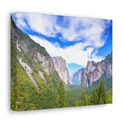 Canvas Gallery Wraps - The US National Parks - Yosemite Park - California - USA NPS - Green Forest Home