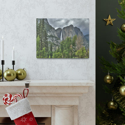 Canvas Gallery Wraps - The US National Parks - Yosemite Park - California - USA NPS - Green Forest Home