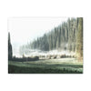 Canvas Gallery Wraps - The US National Parks - Yosemite Park - California - USA NPS - Green Forest Home