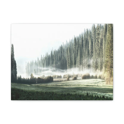 Canvas Gallery Wraps - The US National Parks - Yosemite Park - California - USA NPS - Green Forest Home