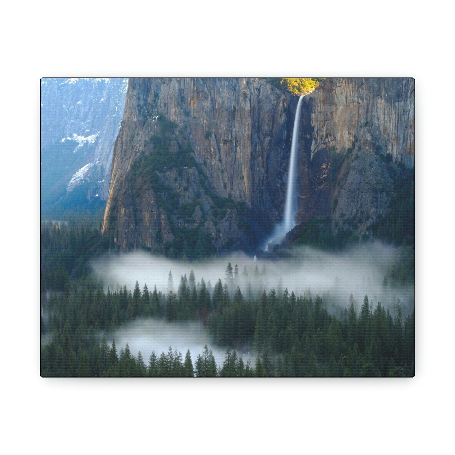 Canvas Gallery Wraps - The US National Parks - Yosemite Park - California - USA NPS - Green Forest Home