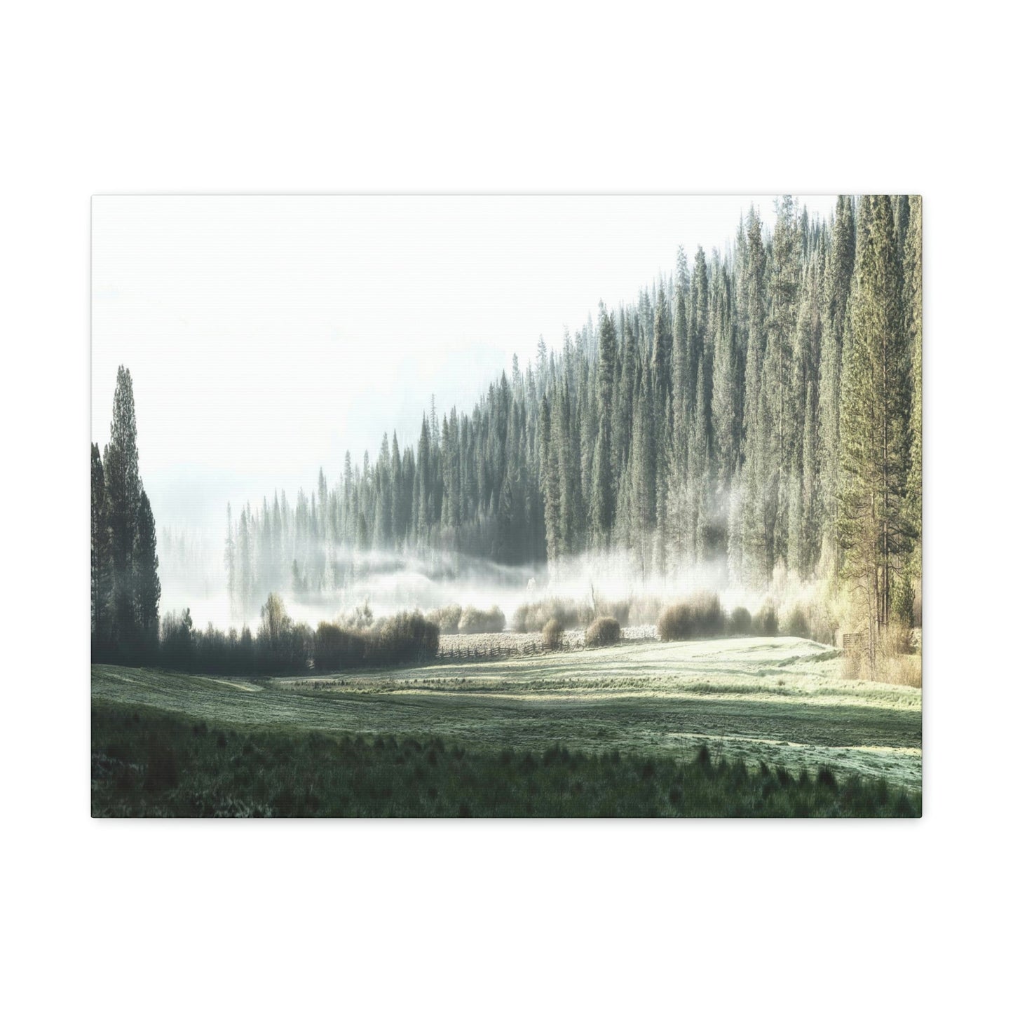 Canvas Gallery Wraps - The US National Parks - Yosemite Park - California - USA NPS - Green Forest Home