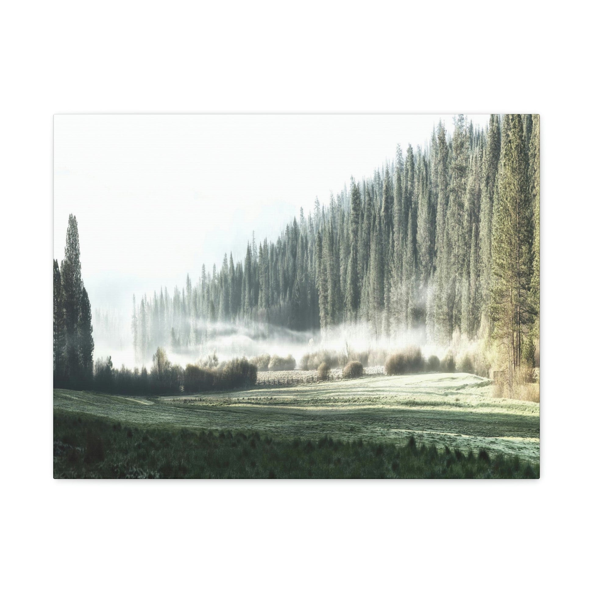 Canvas Gallery Wraps - The US National Parks - Yosemite Park - California - USA NPS - Green Forest Home