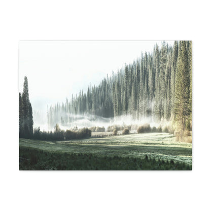 Canvas Gallery Wraps - The US National Parks - Yosemite Park - California - USA NPS - Green Forest Home