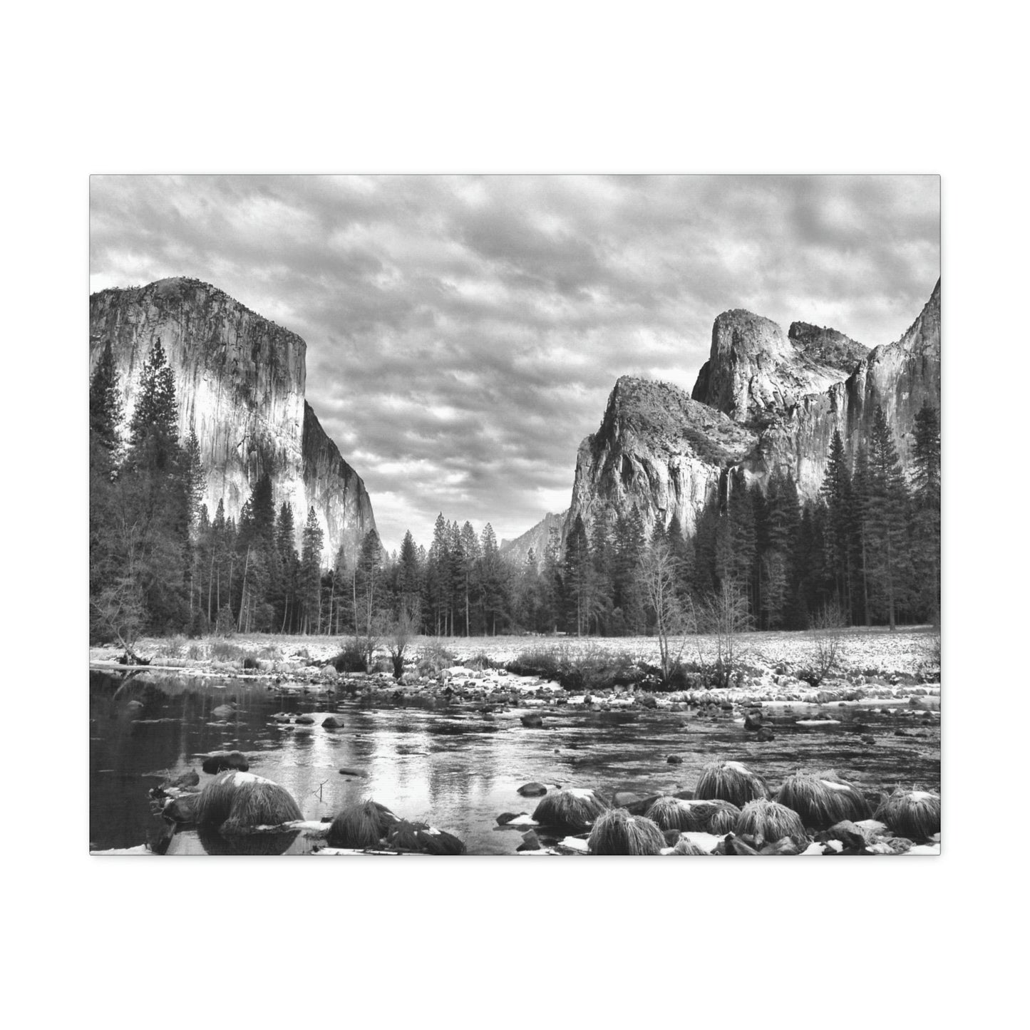 Canvas Gallery Wraps - The US National Parks - Yosemite Park - California - USA NPS - Green Forest Home