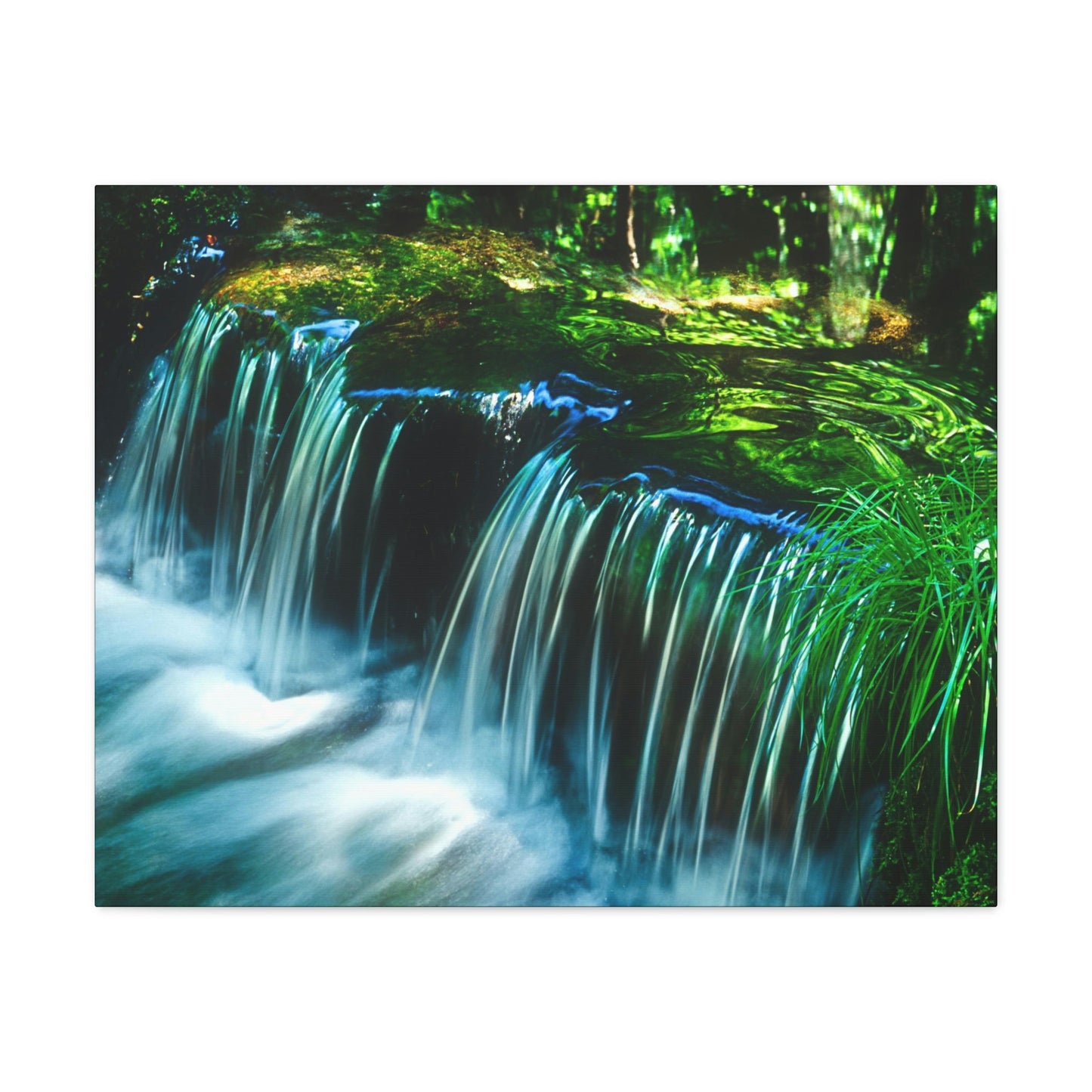 Canvas Gallery Wraps - The US National Parks - Yosemite Park - California - USA NPS - Green Forest Home