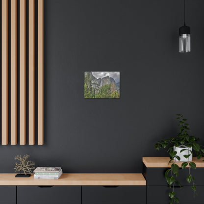 Canvas Gallery Wraps - The US National Parks - Yosemite Park - California - USA NPS - Green Forest Home