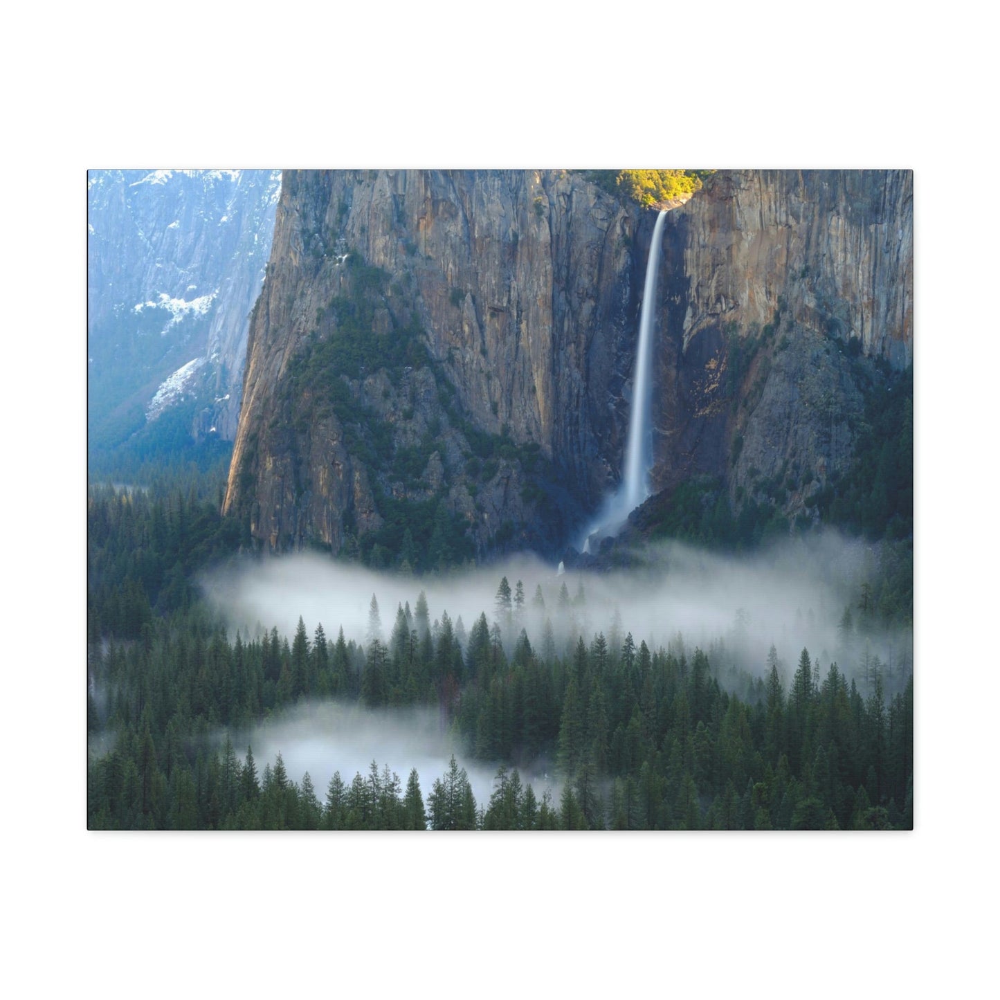 Canvas Gallery Wraps - The US National Parks - Yosemite Park - California - USA NPS - Green Forest Home