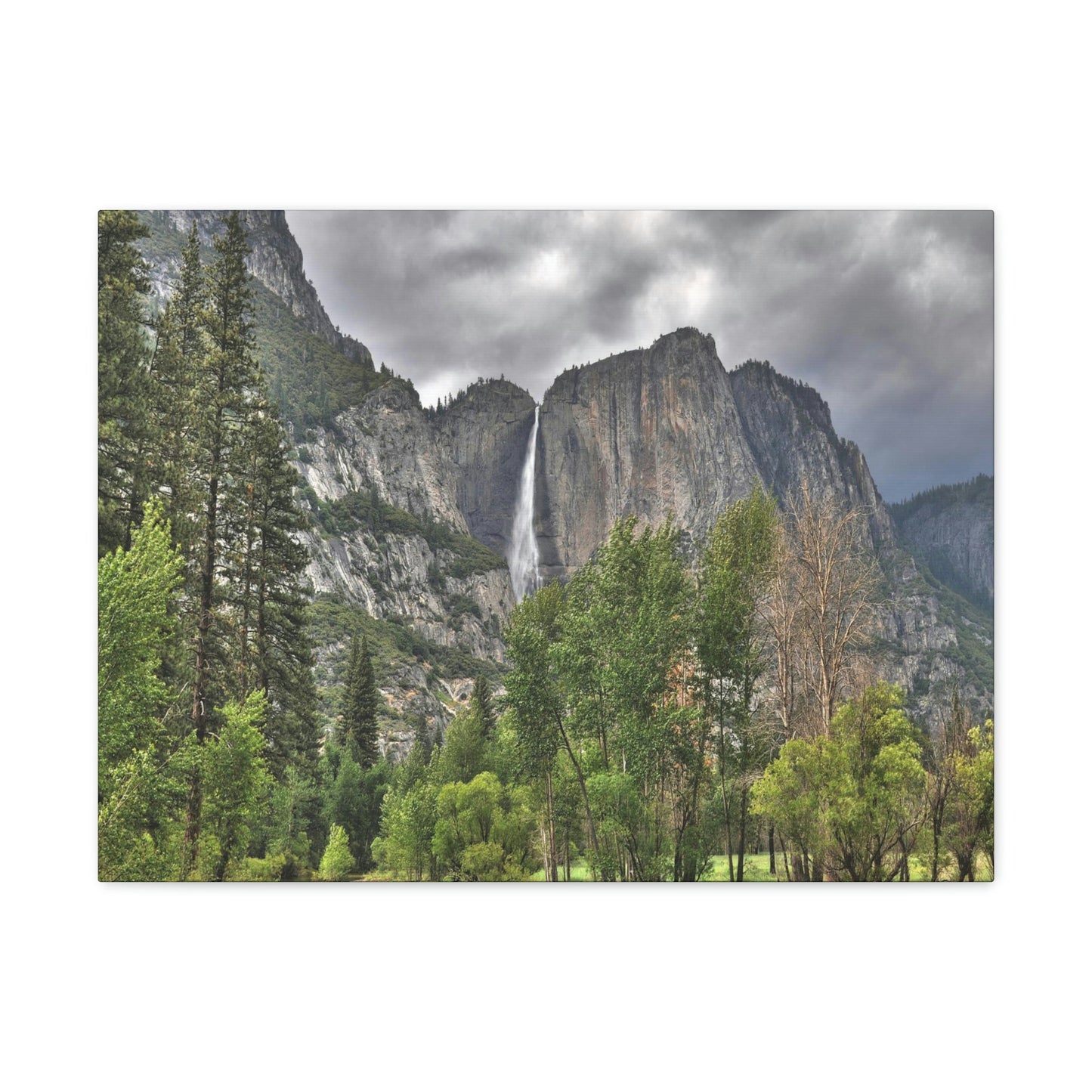 Canvas Gallery Wraps - The US National Parks - Yosemite Park - California - USA NPS - Green Forest Home