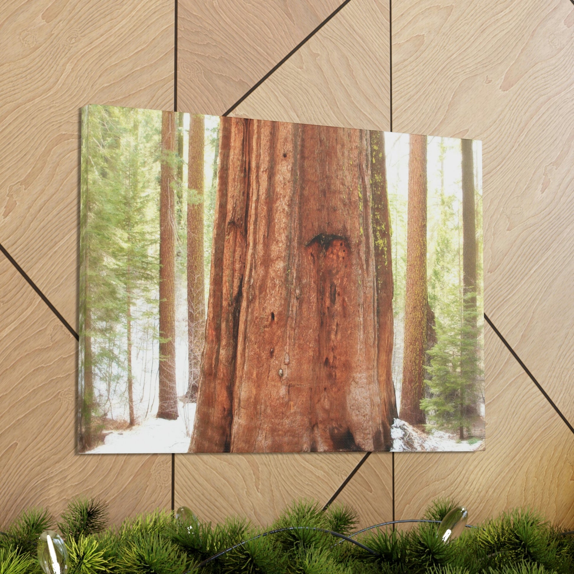 Canvas Gallery Wraps - The US National Parks - Yosemite Park famous Sequoia tree - California - USA NPS - Green Forest Home