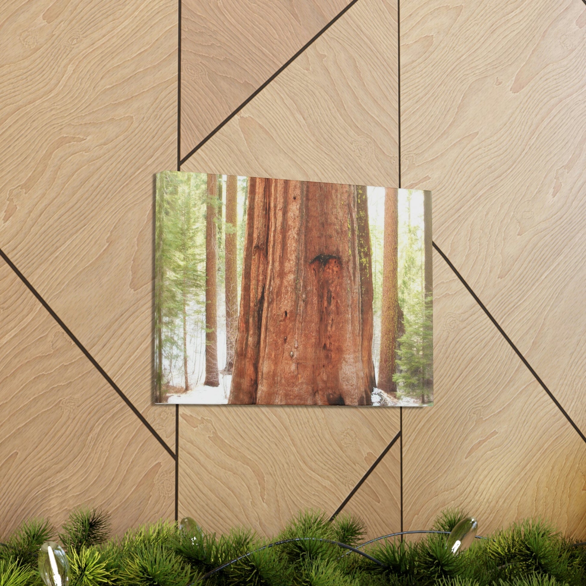 Canvas Gallery Wraps - The US National Parks - Yosemite Park famous Sequoia tree - California - USA NPS - Green Forest Home