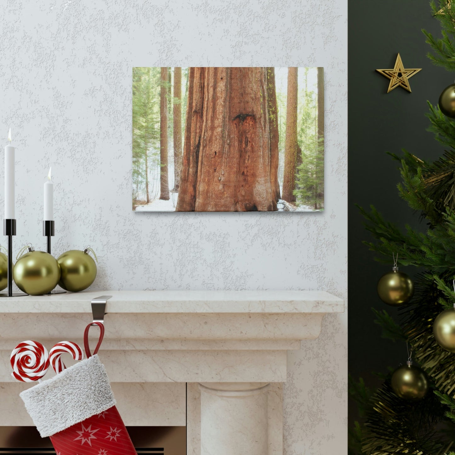 Canvas Gallery Wraps - The US National Parks - Yosemite Park famous Sequoia tree - California - USA NPS - Green Forest Home