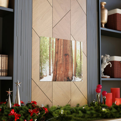 Canvas Gallery Wraps - The US National Parks - Yosemite Park famous Sequoia tree - California - USA NPS - Green Forest Home