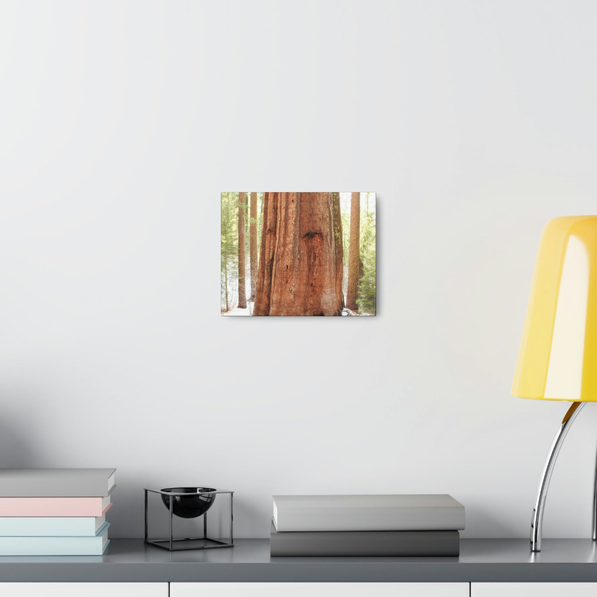 Canvas Gallery Wraps - The US National Parks - Yosemite Park famous Sequoia tree - California - USA NPS - Green Forest Home