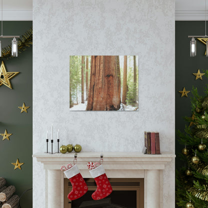 Canvas Gallery Wraps - The US National Parks - Yosemite Park famous Sequoia tree - California - USA NPS - Green Forest Home