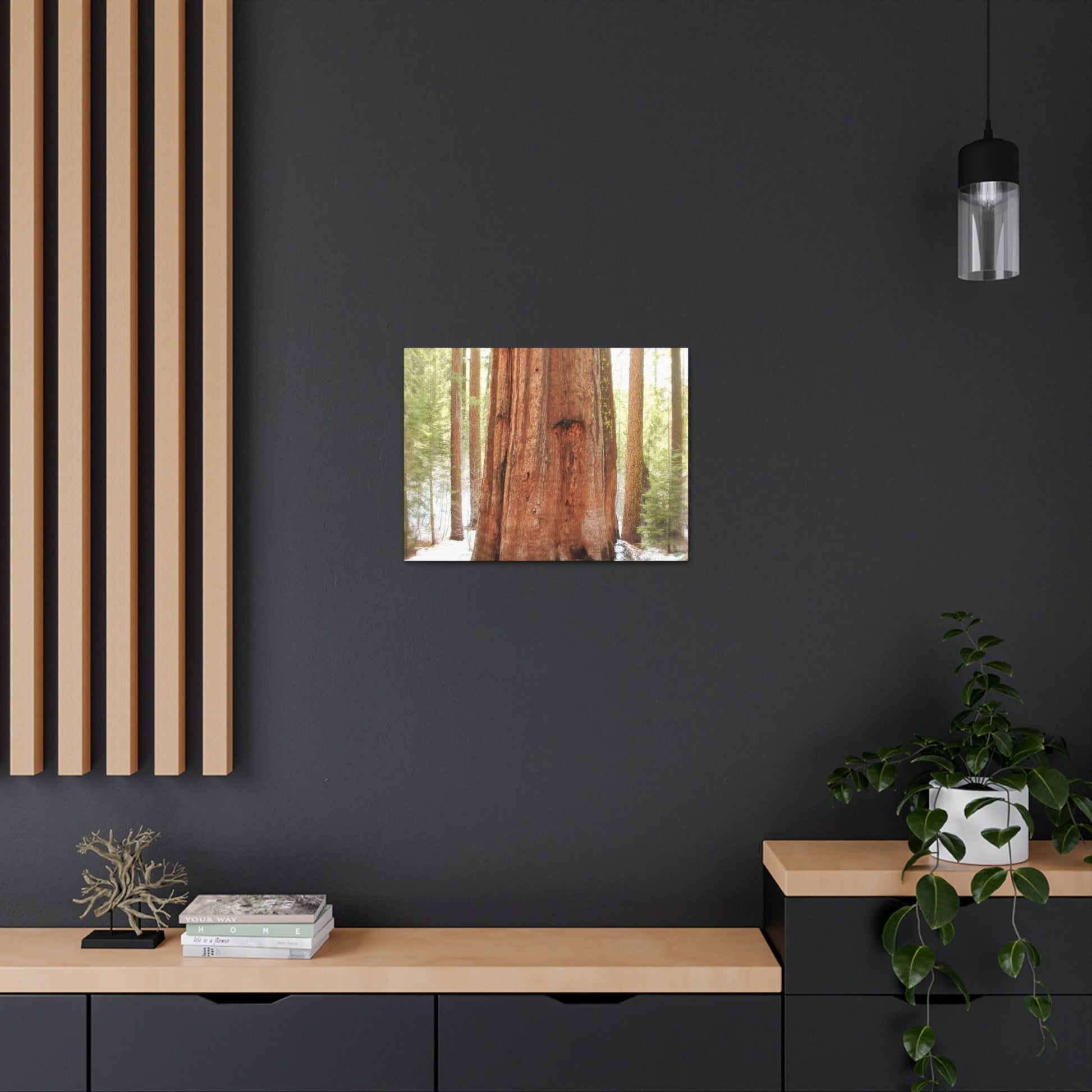Canvas Gallery Wraps - The US National Parks - Yosemite Park famous Sequoia tree - California - USA NPS - Green Forest Home