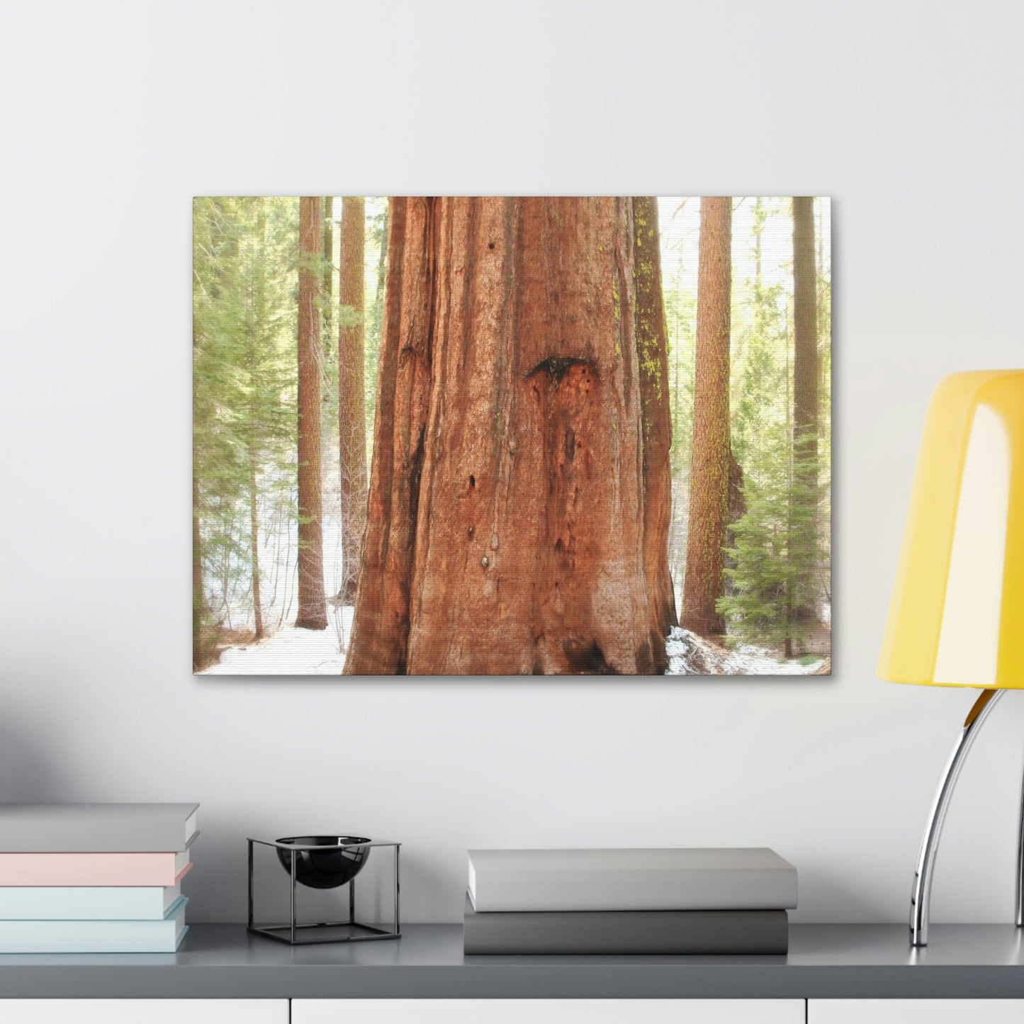 Canvas Gallery Wraps - The US National Parks - Yosemite Park famous Sequoia tree - California - USA NPS - Green Forest Home