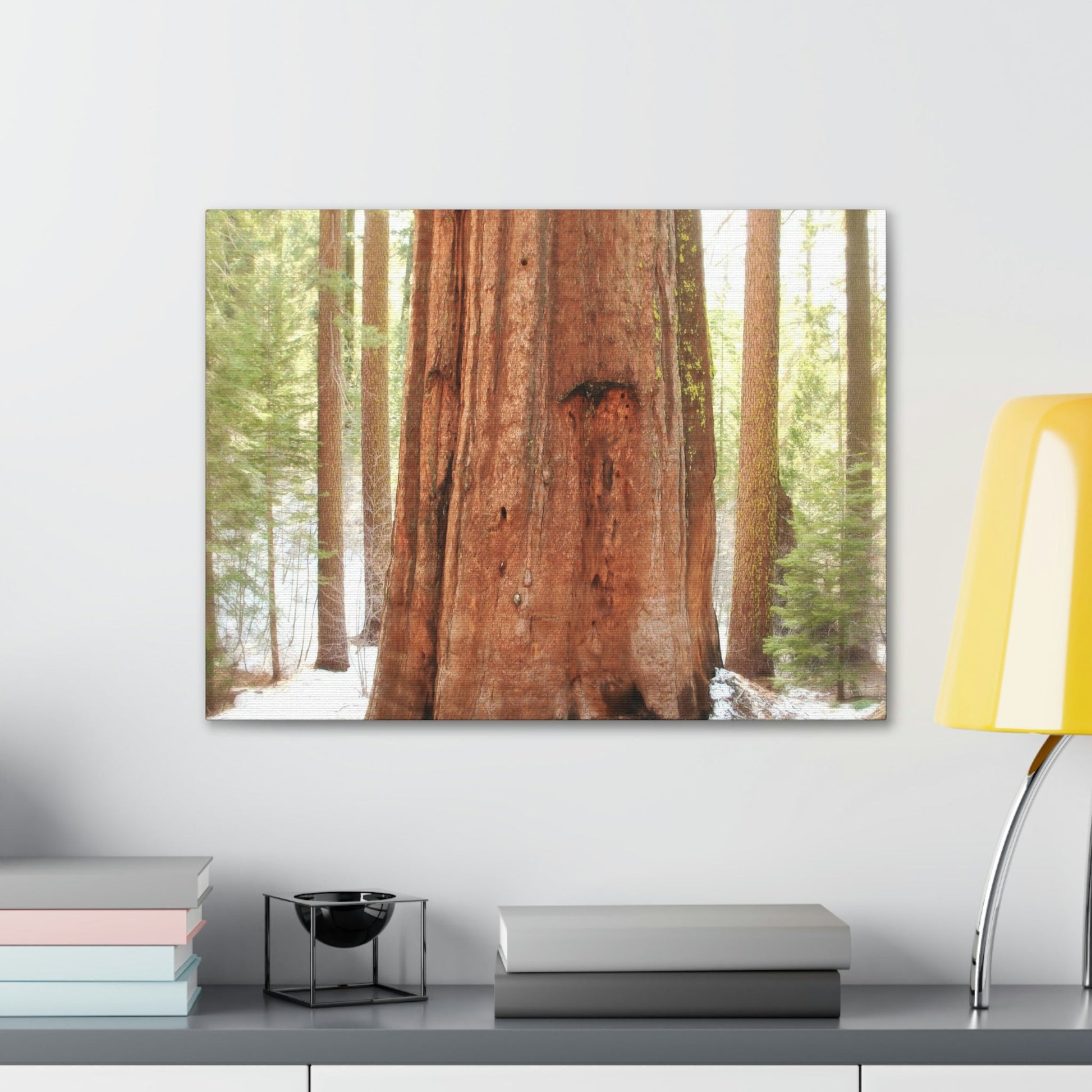 Canvas Gallery Wraps - The US National Parks - Yosemite Park famous Sequoia tree - California - USA NPS - Green Forest Home
