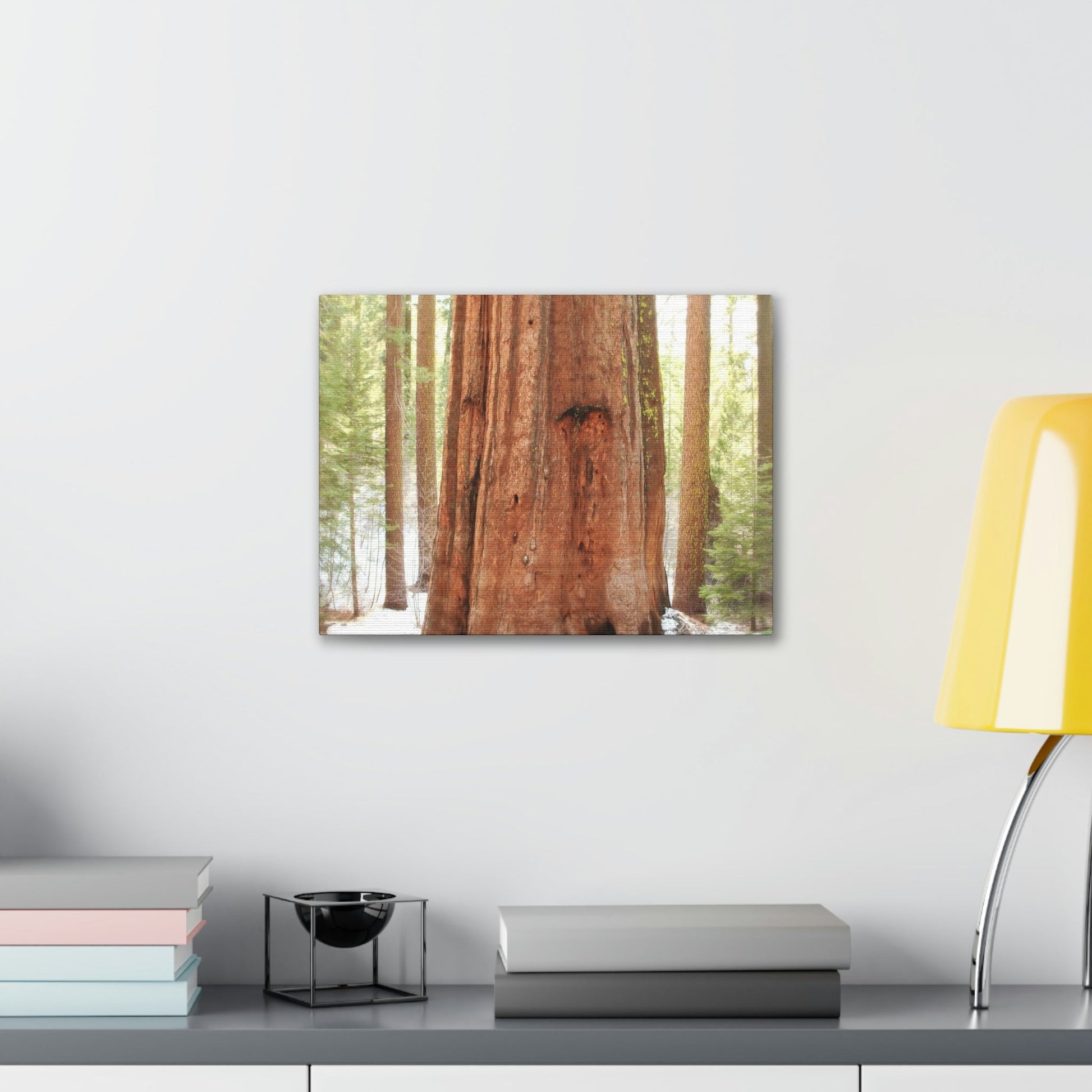 Canvas Gallery Wraps - The US National Parks - Yosemite Park famous Sequoia tree - California - USA NPS - Green Forest Home