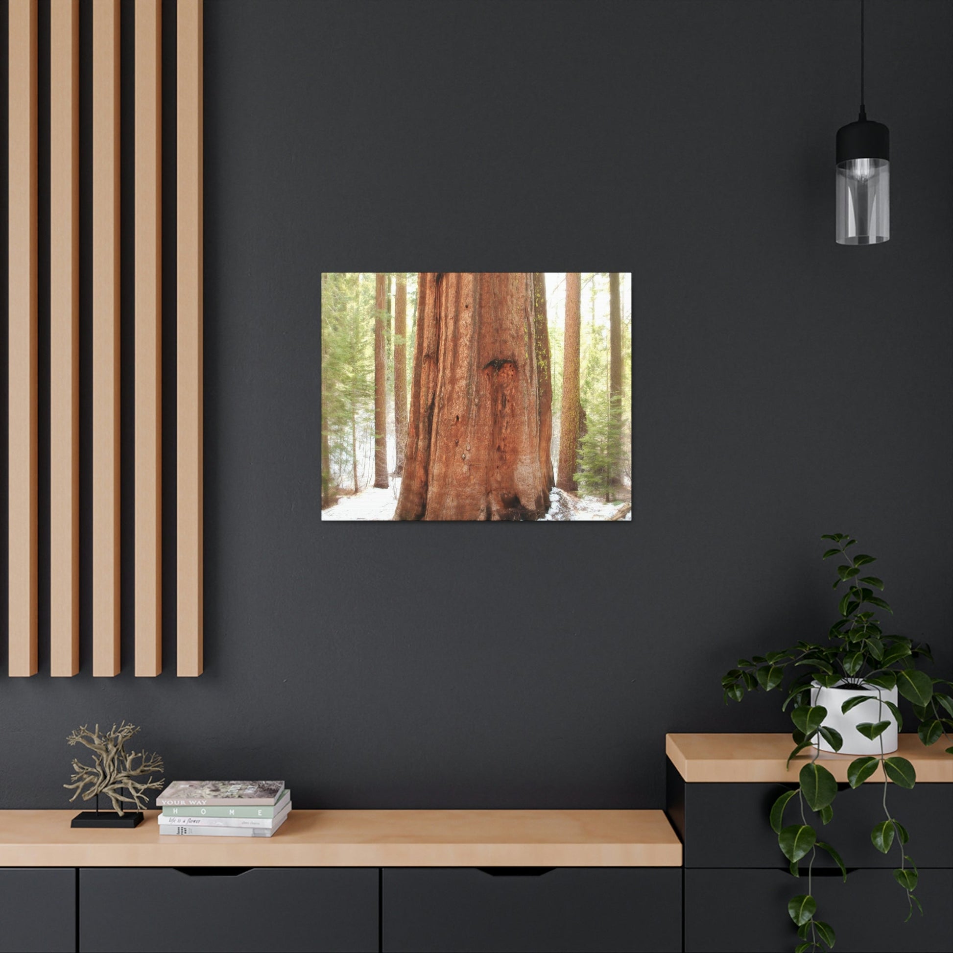Canvas Gallery Wraps - The US National Parks - Yosemite Park famous Sequoia tree - California - USA NPS - Green Forest Home