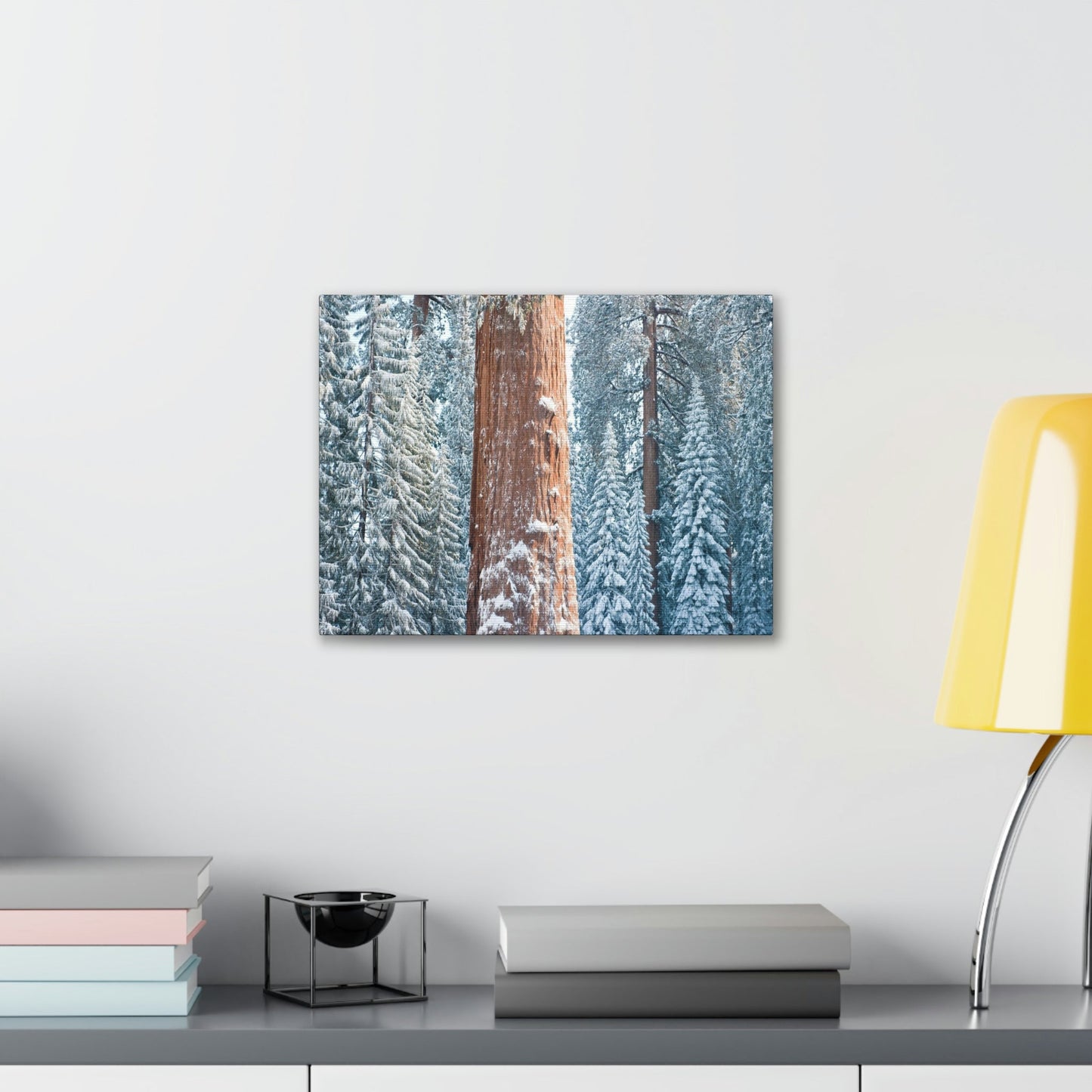 Canvas Gallery Wraps - The US National Parks - Yosemite Park famous Sequoia trees in winter - California - USA NPS - Green Forest Home