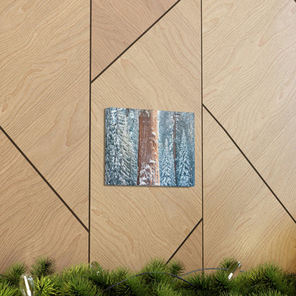 Canvas Gallery Wraps - The US National Parks - Yosemite Park famous Sequoia trees in winter - California - USA NPS - Green Forest Home