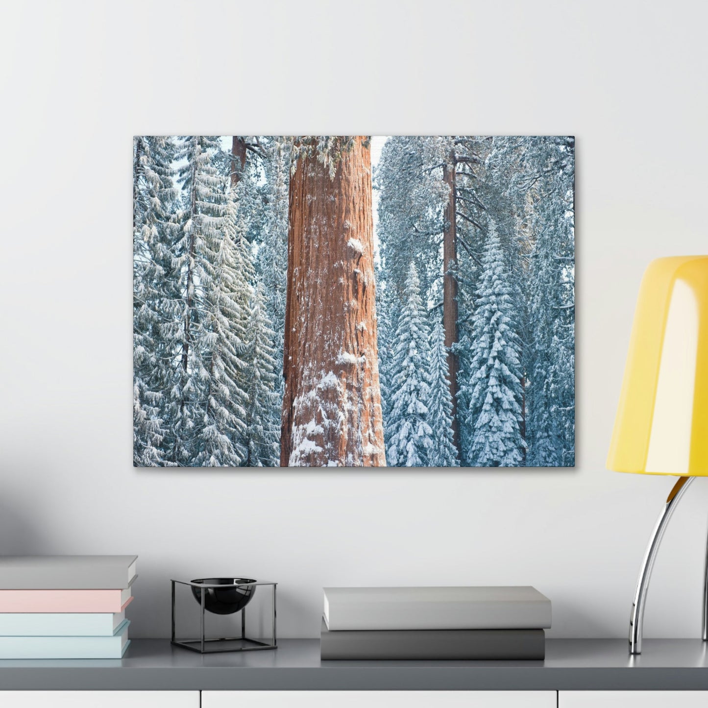 Canvas Gallery Wraps - The US National Parks - Yosemite Park famous Sequoia trees in winter - California - USA NPS - Green Forest Home