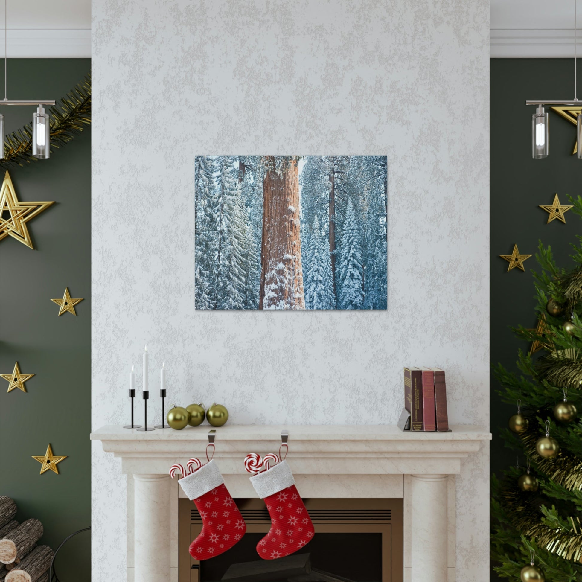 Canvas Gallery Wraps - The US National Parks - Yosemite Park famous Sequoia trees in winter - California - USA NPS - Green Forest Home