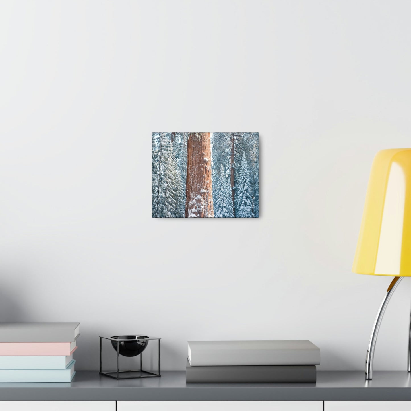 Canvas Gallery Wraps - The US National Parks - Yosemite Park famous Sequoia trees in winter - California - USA NPS - Green Forest Home