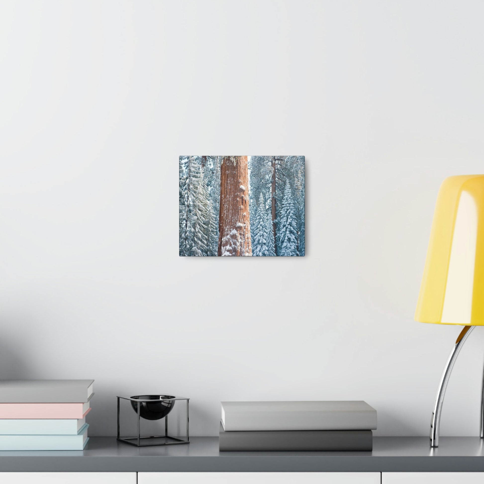 Canvas Gallery Wraps - The US National Parks - Yosemite Park famous Sequoia trees in winter - California - USA NPS - Green Forest Home