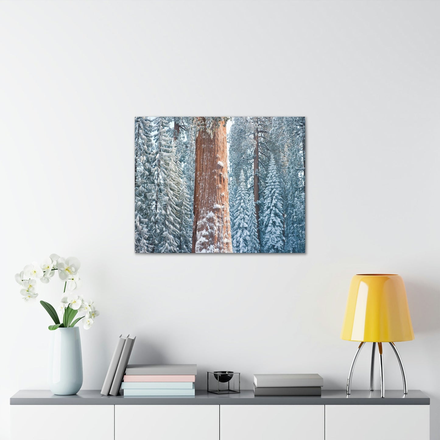Canvas Gallery Wraps - The US National Parks - Yosemite Park famous Sequoia trees in winter - California - USA NPS - Green Forest Home