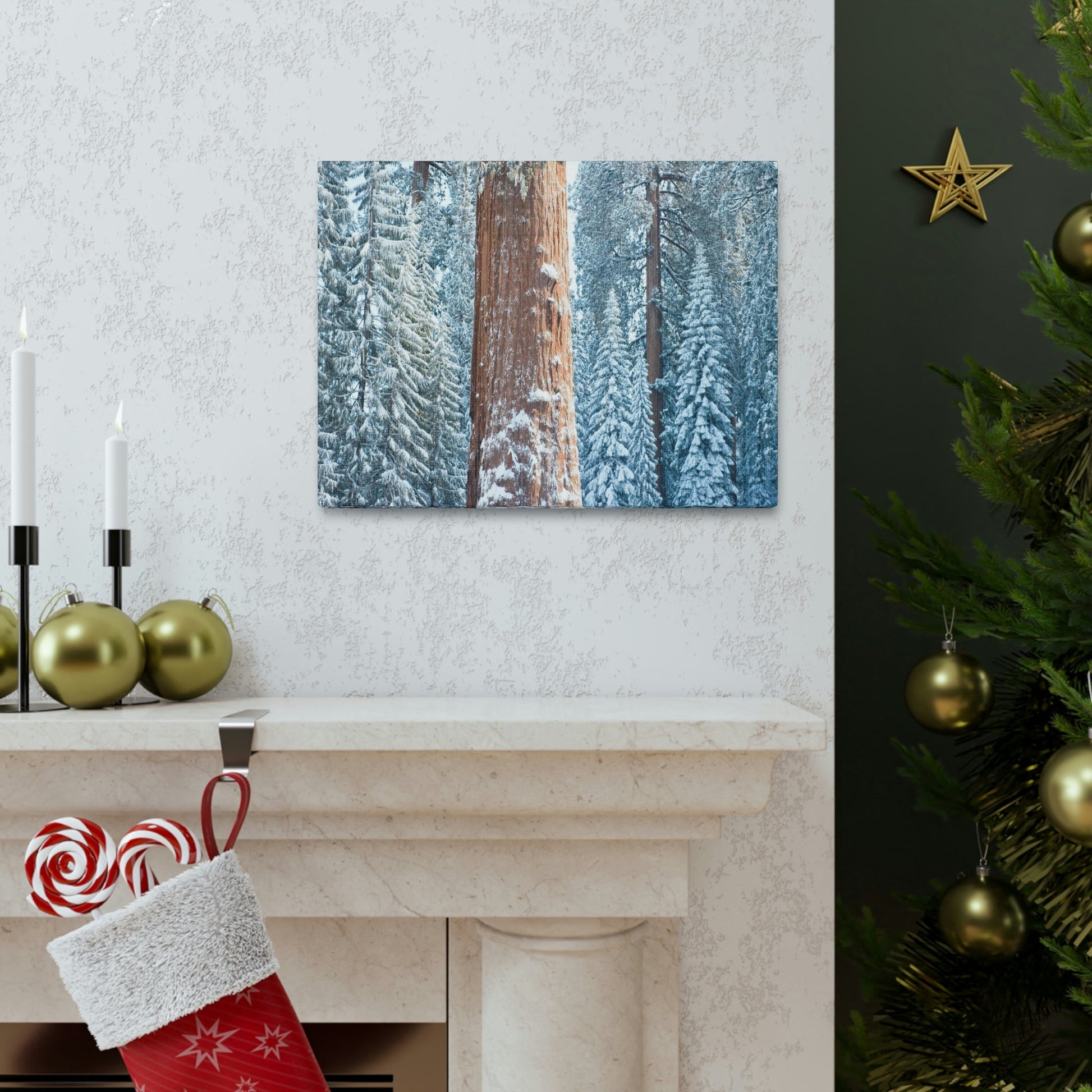 Canvas Gallery Wraps - The US National Parks - Yosemite Park famous Sequoia trees in winter - California - USA NPS - Green Forest Home