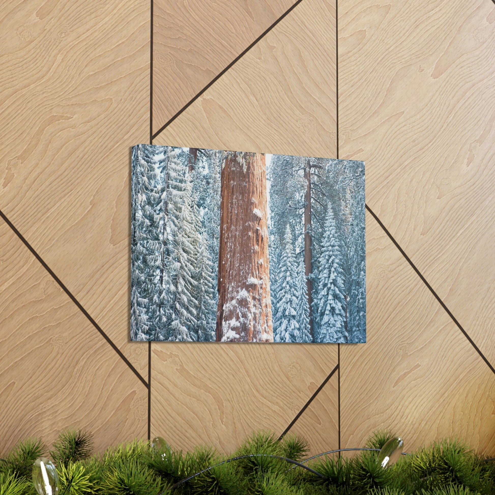Canvas Gallery Wraps - The US National Parks - Yosemite Park famous Sequoia trees in winter - California - USA NPS - Green Forest Home