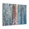 Canvas Gallery Wraps - The US National Parks - Yosemite Park famous Sequoia trees in winter - California - USA NPS - Green Forest Home