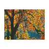 Canvas Gallery Wraps - The US National Parks - Yosemite Park in autumn - California - USA NPS - Green Forest Home