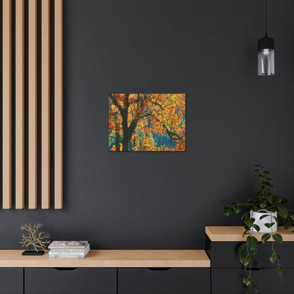 Canvas Gallery Wraps - The US National Parks - Yosemite Park in autumn - California - USA NPS - Green Forest Home