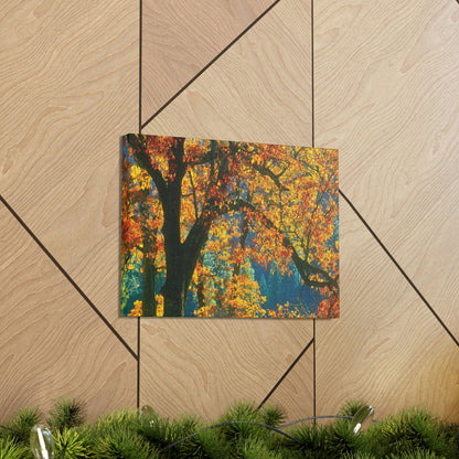 Canvas Gallery Wraps - The US National Parks - Yosemite Park in autumn - California - USA NPS - Green Forest Home