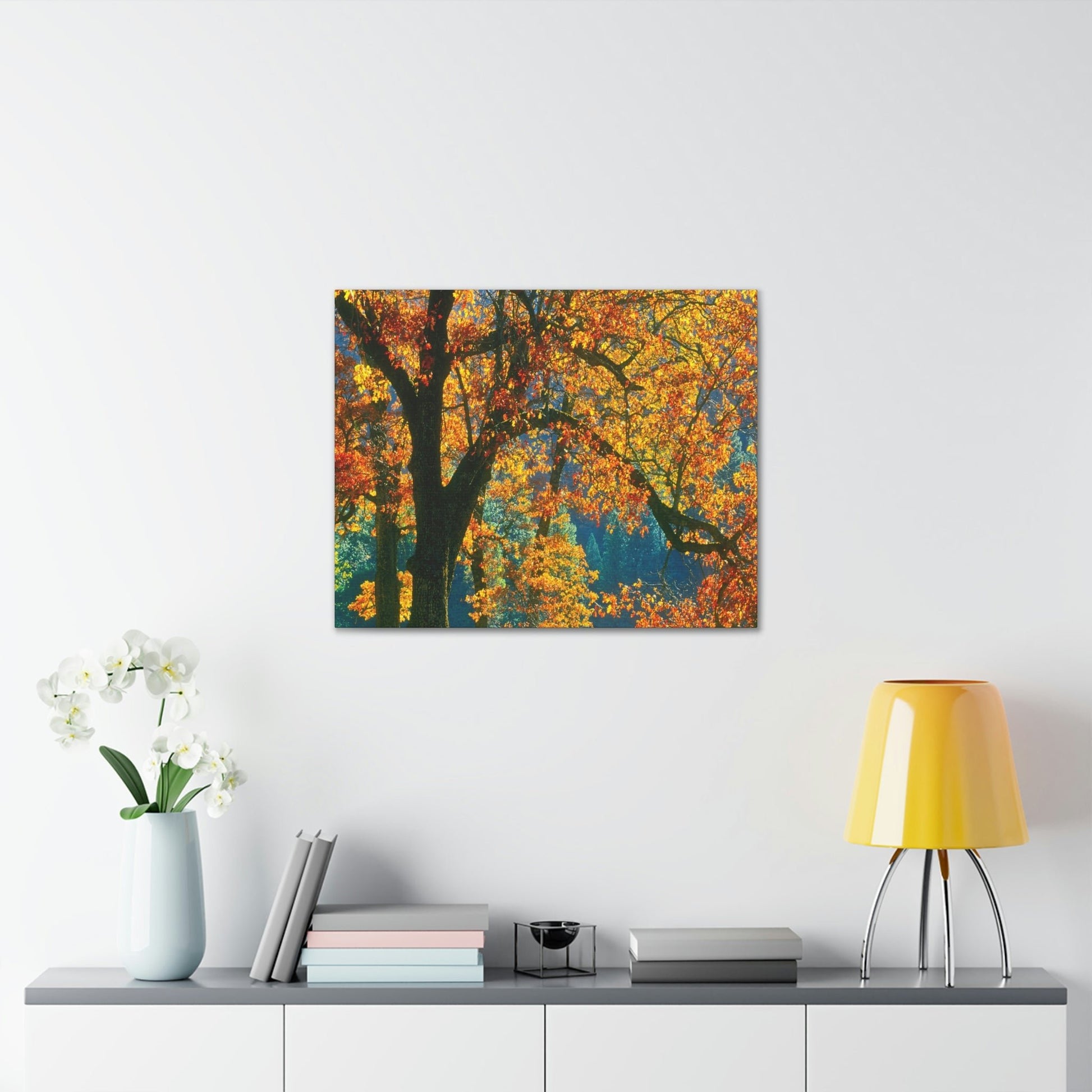 Canvas Gallery Wraps - The US National Parks - Yosemite Park in autumn - California - USA NPS - Green Forest Home