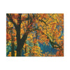 Canvas Gallery Wraps - The US National Parks - Yosemite Park in autumn - California - USA NPS - Green Forest Home