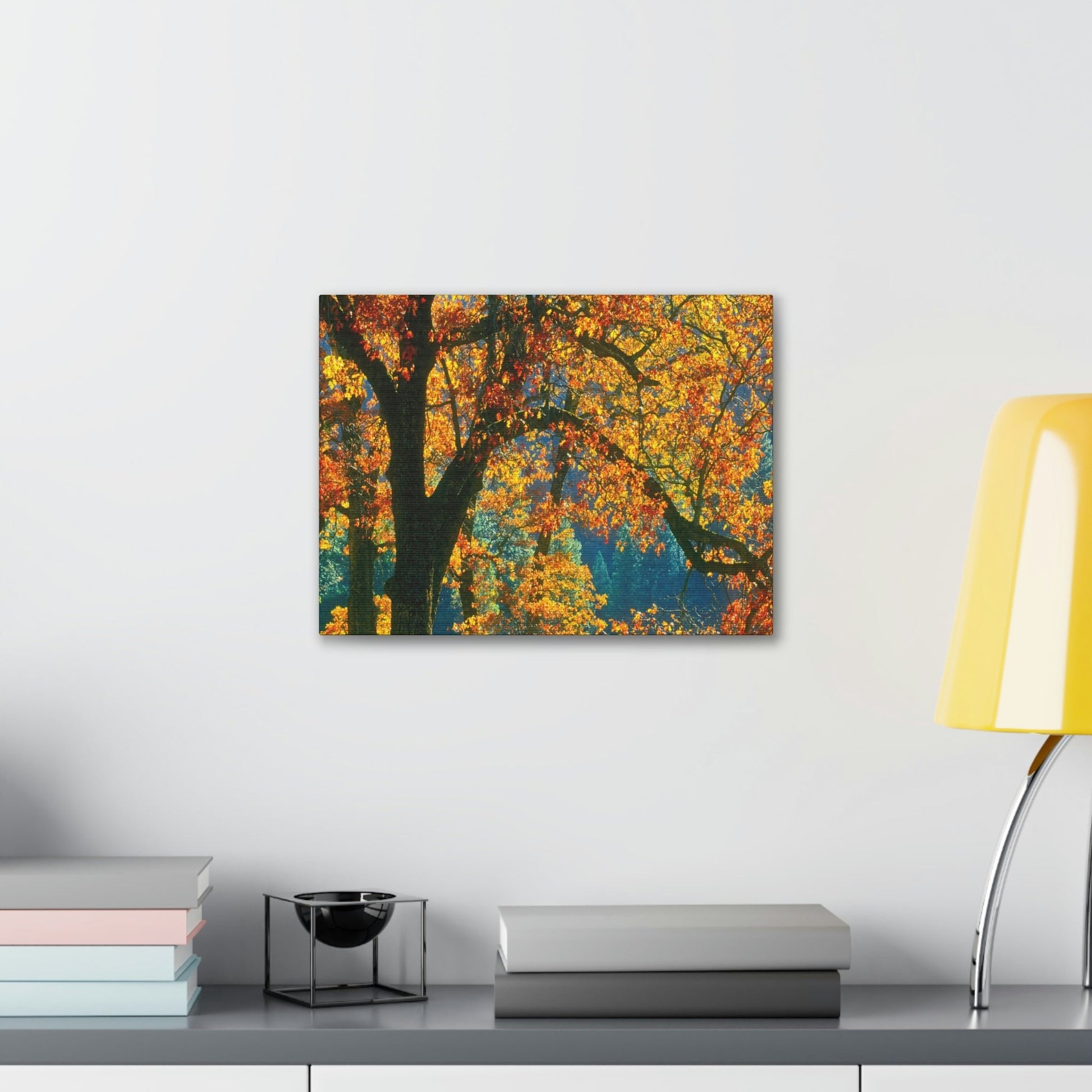 Canvas Gallery Wraps - The US National Parks - Yosemite Park in autumn - California - USA NPS - Green Forest Home