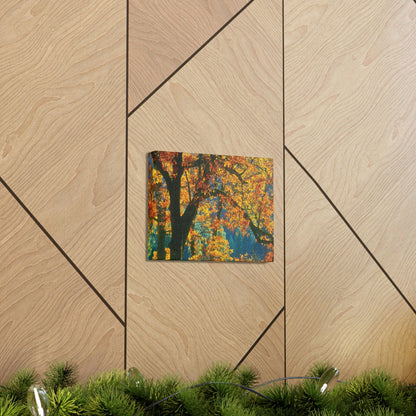 Canvas Gallery Wraps - The US National Parks - Yosemite Park in autumn - California - USA NPS - Green Forest Home