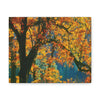 Canvas Gallery Wraps - The US National Parks - Yosemite Park in autumn - California - USA NPS - Green Forest Home